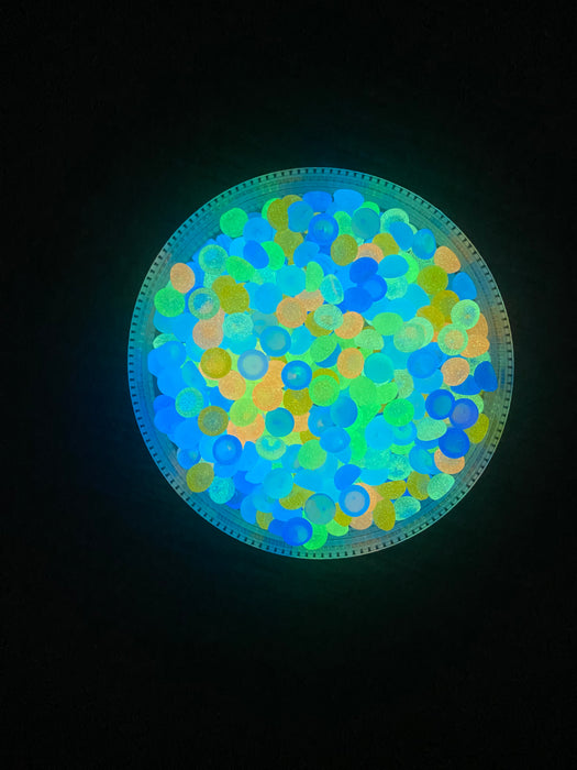 Glow in the dark Fishbowl Beads for Slime