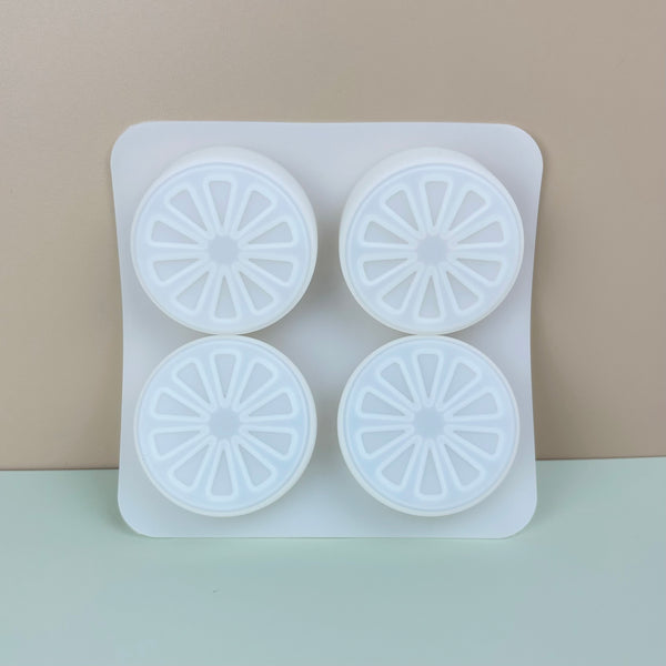 Succulent / Animals / Citrus Thick Silicone Molds for crafts