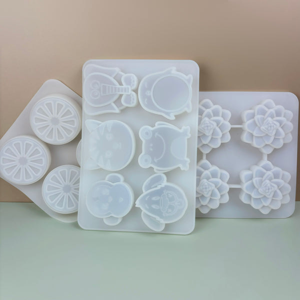 Succulent / Animals / Citrus Thick Silicone Molds for crafts