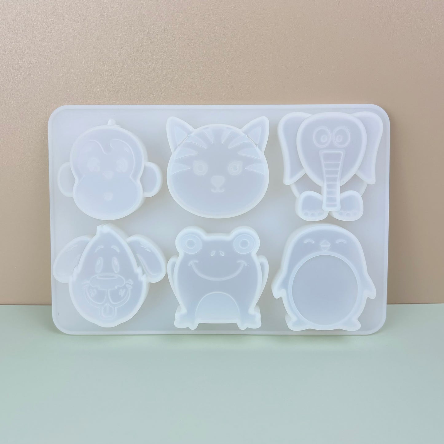 Succulent / Animals / Citrus Thick Silicone Molds for crafts