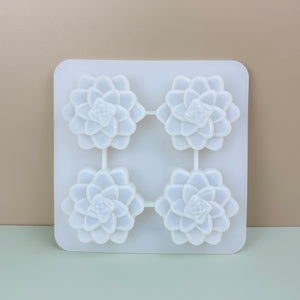 Succulent / Animals / Citrus Thick Silicone Molds for crafts