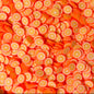 Fimo Fruit Polymer Clay Slices for Slime and Crafts (5mm) - 10g / 50g
