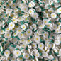 Sakura / Sunflower Floral Polymer Slices for slime and other crafts