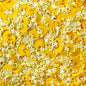 NOT EDIBLE! Celestial-themed Sprinkles for Slime Star | Moon | Rainbow | Snowflake | Unicorn | Cloud - 10g / 50g