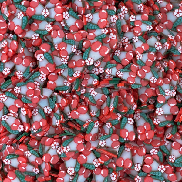 Fimo Fruit Slices for Slime (5mm)