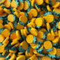 Plastic Polymer Fimo Fruit Slices for crafts (10mm)