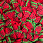 Plastic Polymer Fimo Fruit Slices for crafts (10mm)