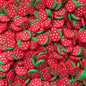 Plastic Polymer Fimo Fruit Slices for crafts (10mm)