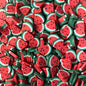 Plastic Polymer Fimo Fruit Slices for crafts (10mm)