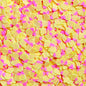 Fimo Fruit Polymer Clay Slices for Slime and Crafts (5mm) - 10g / 50g
