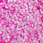 Fimo Fruit Polymer Clay Slices for Slime and Crafts (5mm) - 10g / 50g