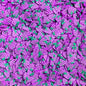 Fimo Fruit Polymer Clay Slices for Slime and Crafts (5mm) - 10g / 50g